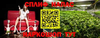 прущие крисы Новозыбков