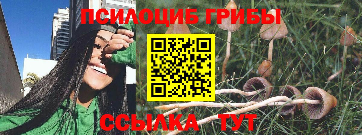 Псилоцибиновые грибы Cubensis  Вход с VPN  наркота  Солнечногорск 